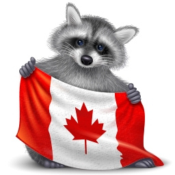 Подарок ВК Флаг Канады