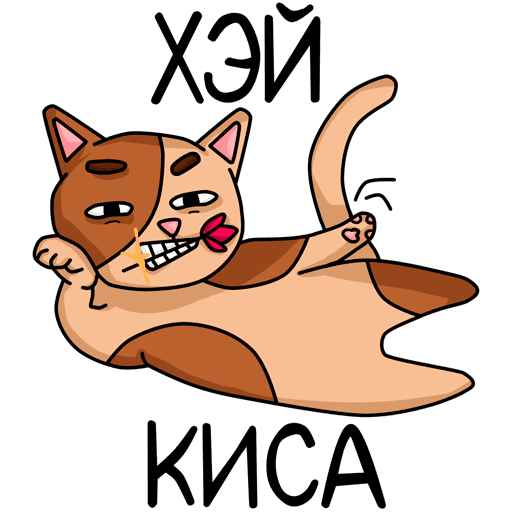 VK Sticker Cats #11