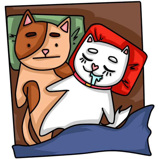 VK Sticker Cats #23