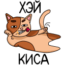 Cats VK sticker #11