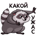 Pilfy the Raccoon VK sticker #19