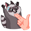 Pilfy the Raccoon VK sticker #37