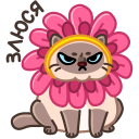 Plush the Cat VK sticker #16