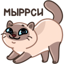 Plush the Cat VK sticker #32
