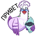 Violet the Pigeon VK sticker #2