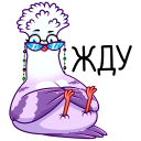 Violet the Pigeon VK sticker #9