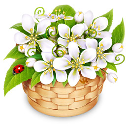 Подарок ВК Корзинка с цветами