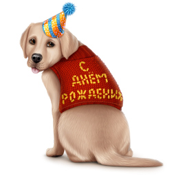 Подарок ВК Собака в свитере