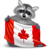 Подарок ВК Флаг Канады