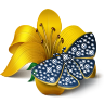 Подарок ВК Лилия с бабочкой