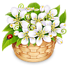 Подарок ВК Корзинка с цветами