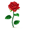 Подарок ВК Красная роза