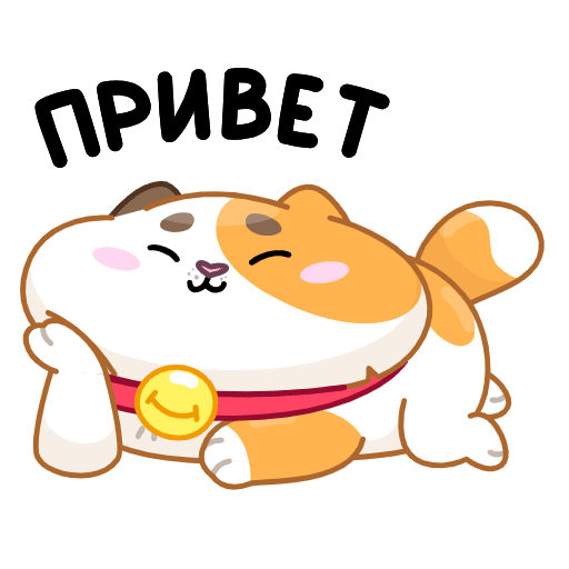 VK Sticker Amur the Cat #1