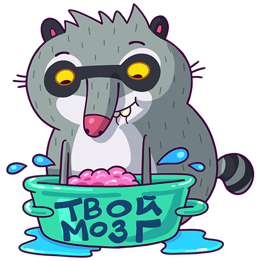 VK Sticker Bublik the Raccoon #2