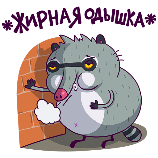 VK Sticker Bublik the Raccoon #5