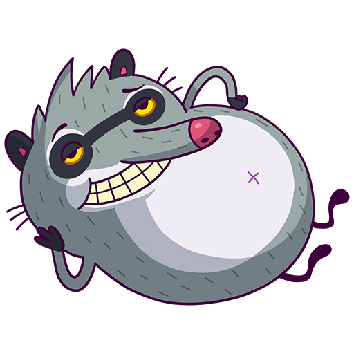 VK Sticker Bublik the Raccoon #8