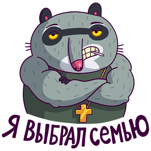 VK Sticker Bublik the Raccoon #37