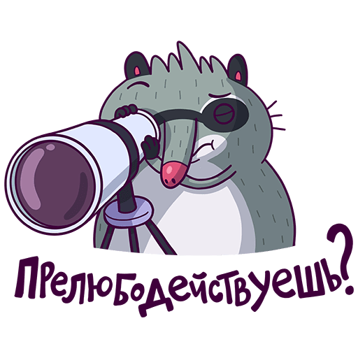 VK Sticker Bublik the Raccoon #46