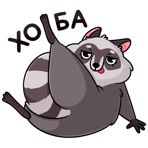 VK Sticker Pilfy the Raccoon #2