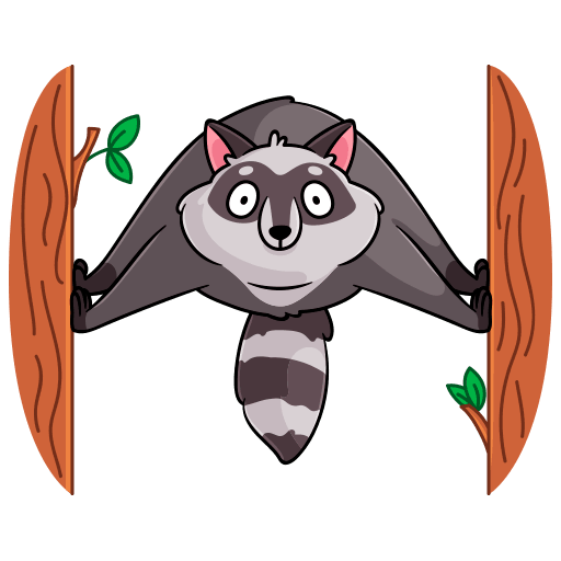 VK Sticker Pilfy the Raccoon #10