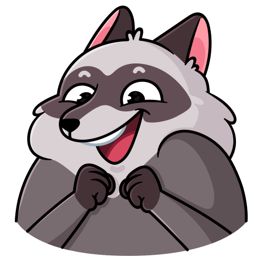 VK Sticker Pilfy the Raccoon #11