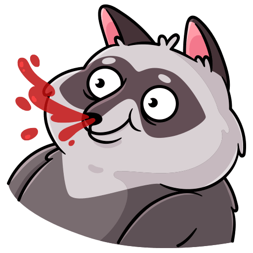 VK Sticker Pilfy the Raccoon #31