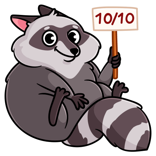 VK Sticker Pilfy the Raccoon #46