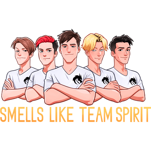 VK Team Spirit stickers