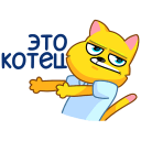 Cool Cat VK sticker #33