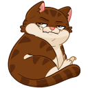 Merchant’s Cat VK sticker #5