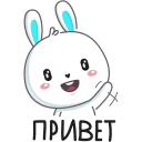 Rabbit VK sticker #1