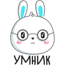 Rabbit VK sticker #26