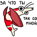 Shrimpy VK sticker #47