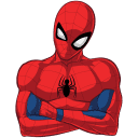 Spider-Man VK sticker #11