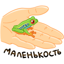 Tree frog VK sticker #1