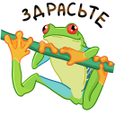 Tree frog VK sticker #19