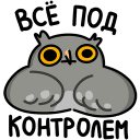 Vova the Owl VK sticker #19