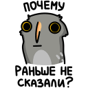 Vova the Owl VK sticker #46