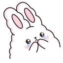 Стикер ВК Кролик Супчик белый #36