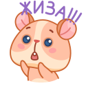 Cookie the Hamster VK sticker #13