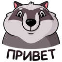 VK Pilfy the Raccoon stickers styles